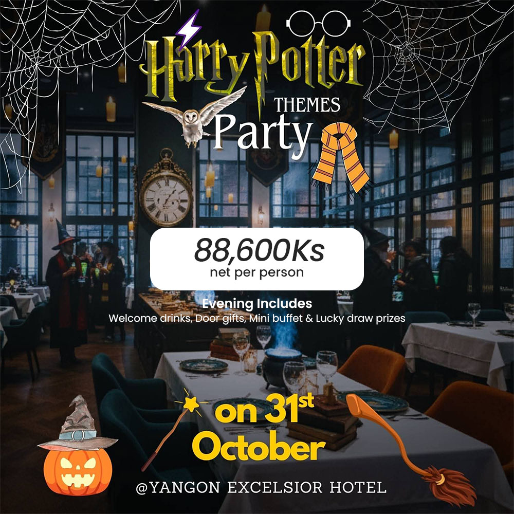 Harry Potter Themes Party