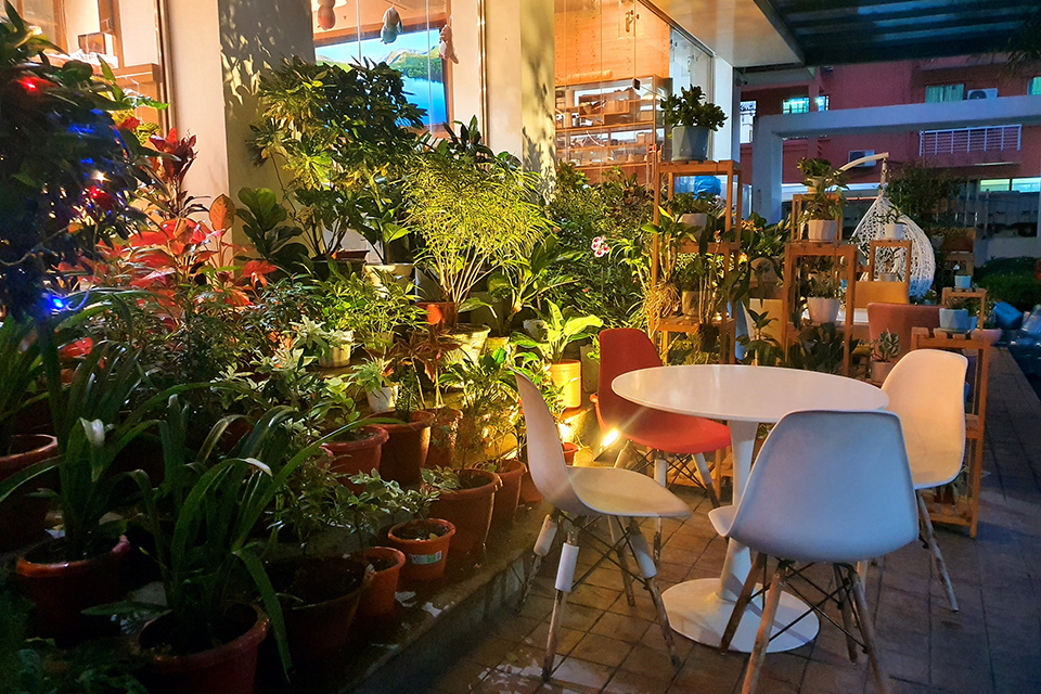 Outdoor View Decoration