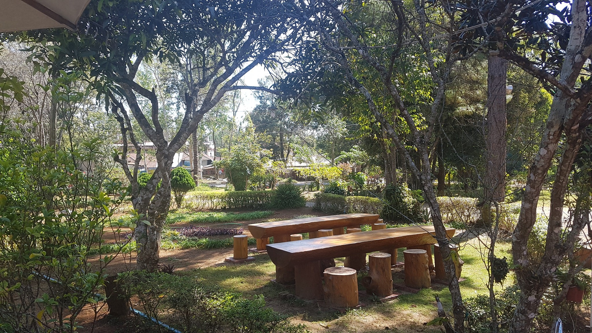 Garden Area