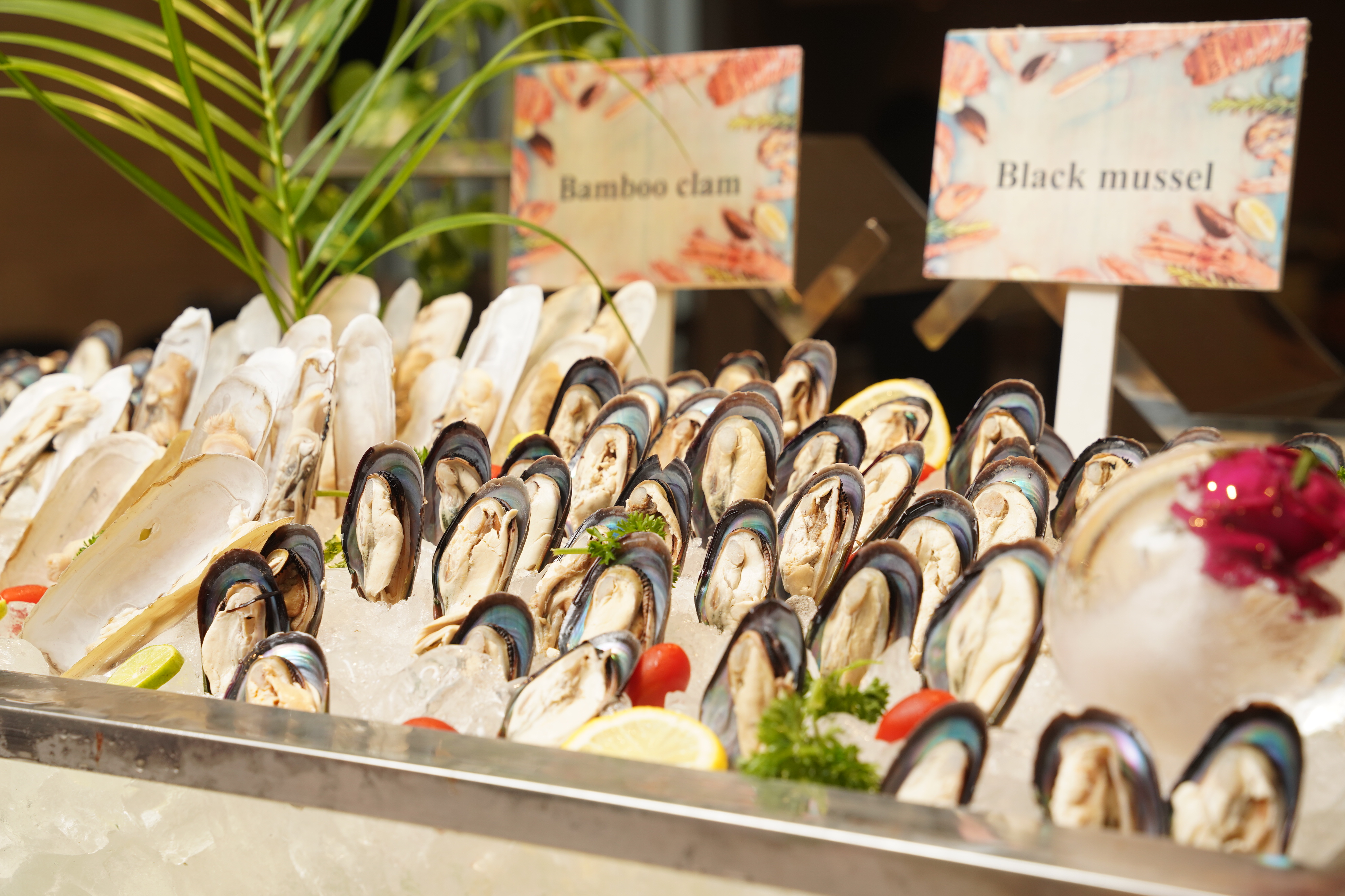 menu display