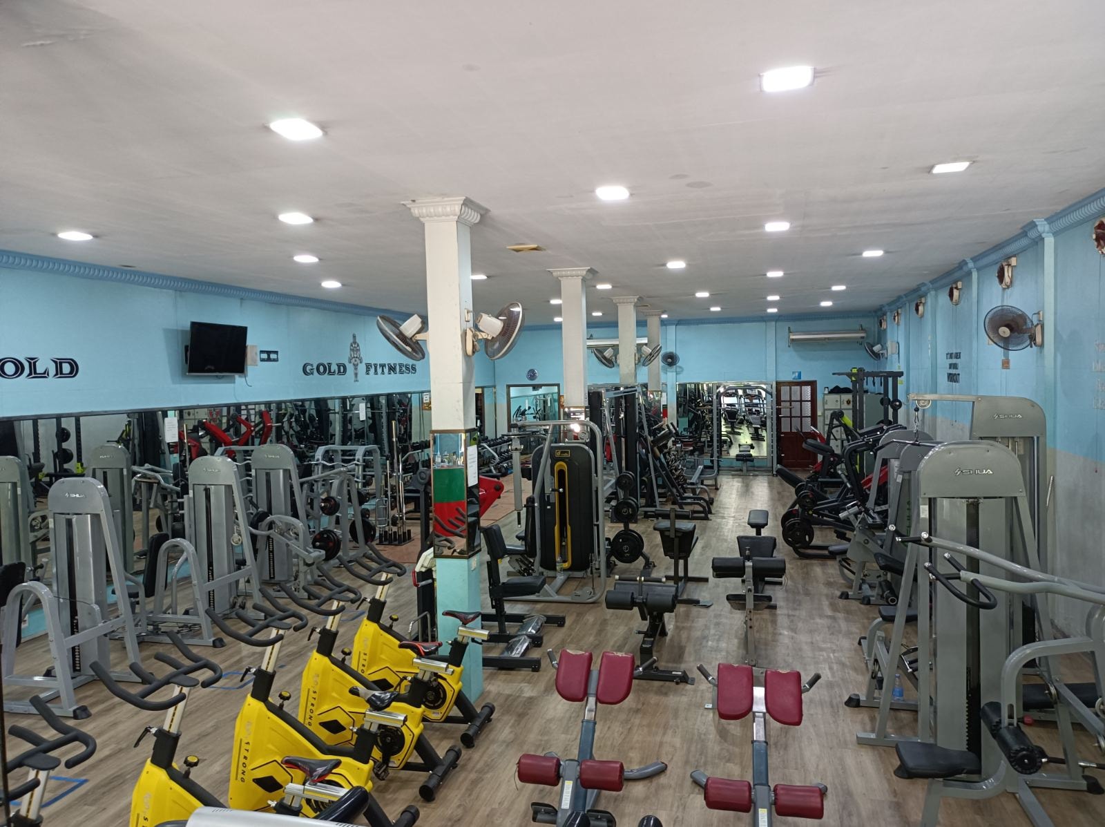 M-Gold Gym & Fitness Center (35th Street)