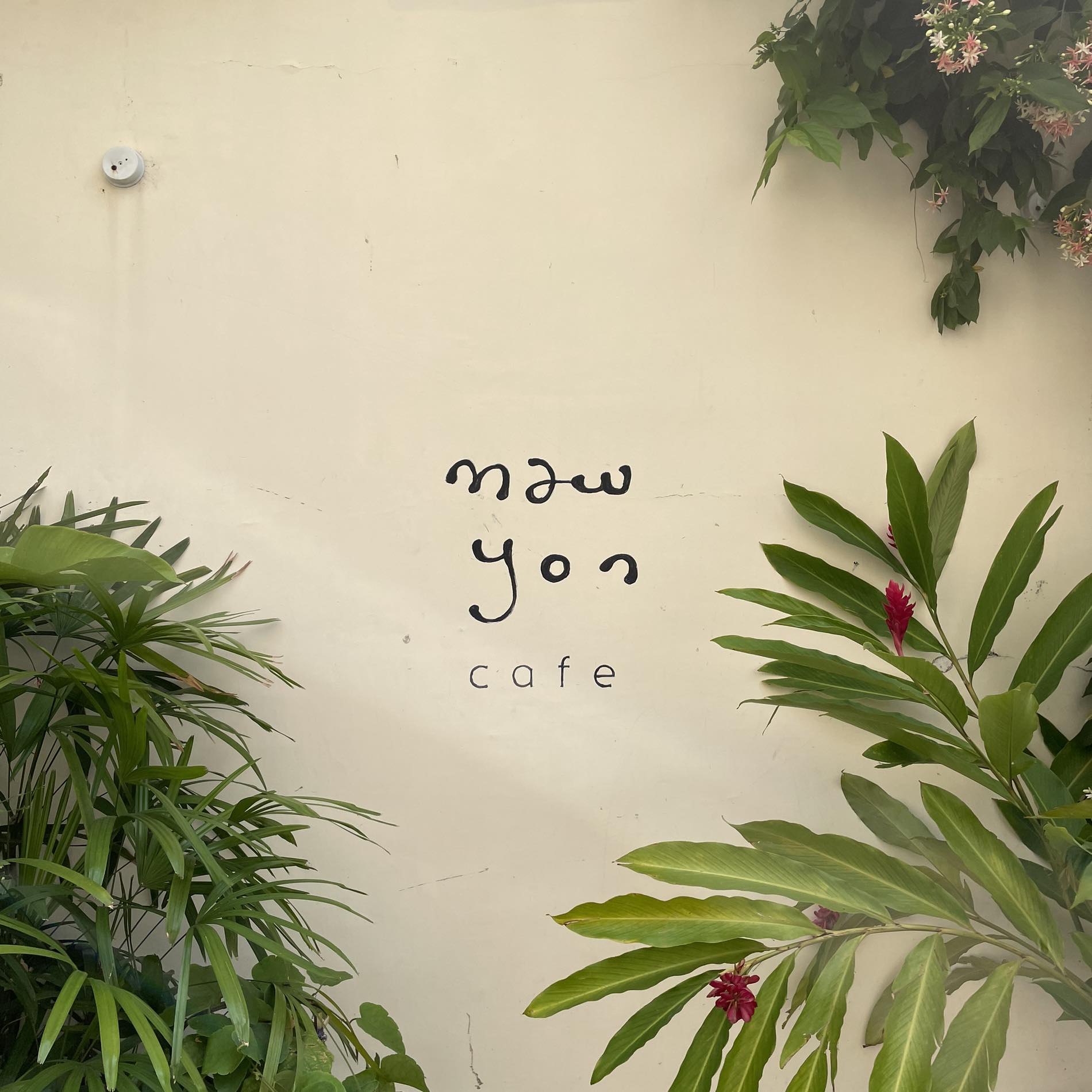 maw yon cafe
